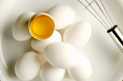 البيض | خليط البيض
